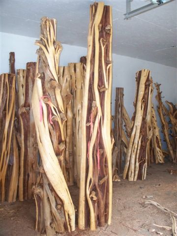 Western Juniper Log or Column